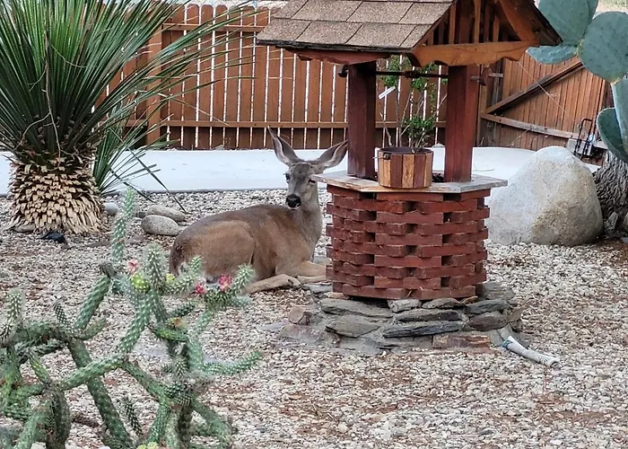 Kernville - Walk To River Kern & Downtown